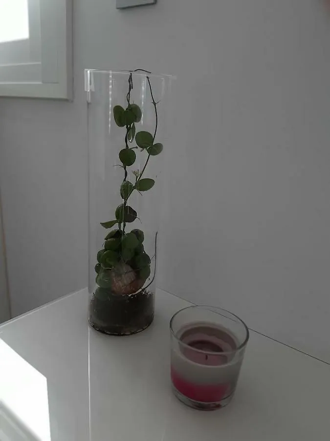 Loft Of Love Frigiliana